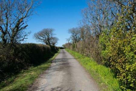 Hallagather Farmhouse Crackington Haven 外观 照片